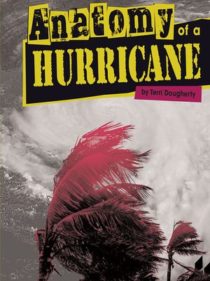 cover image of Anatomy of a Hurricane
